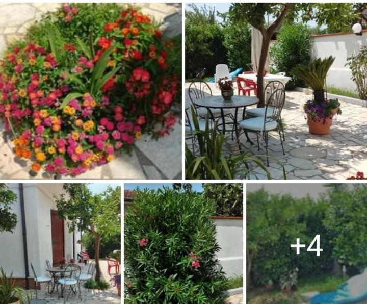 Villa Dafne Mare Fondi Sperlonga エクステリア 写真